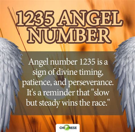 1235 angel number|ANGEL NUMBERS